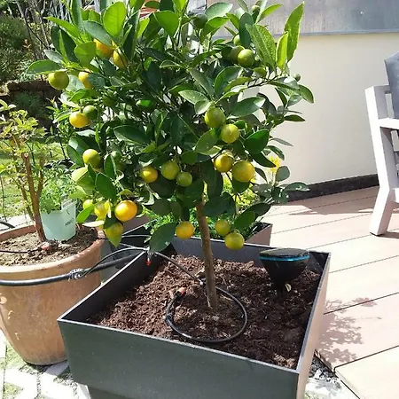 Konstanz Holiday home