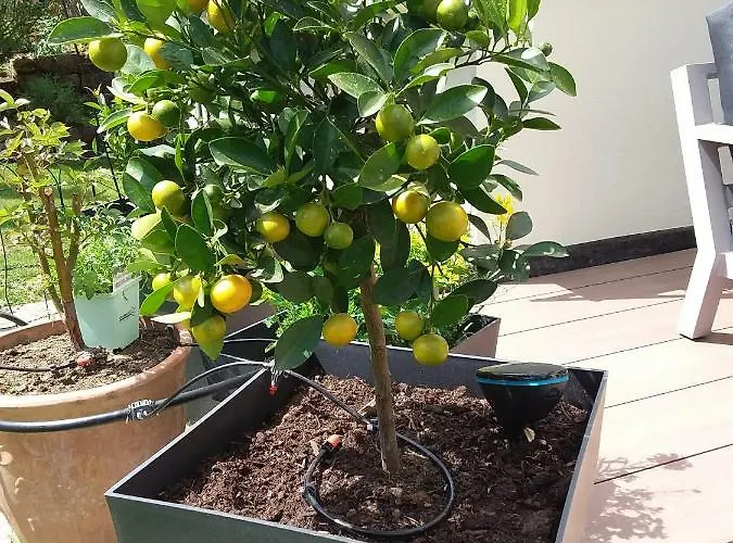 Konstanz Дом отдыха